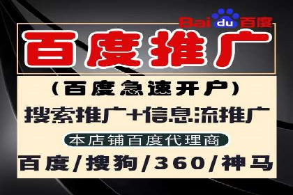 SEM运营公司经典案例点评